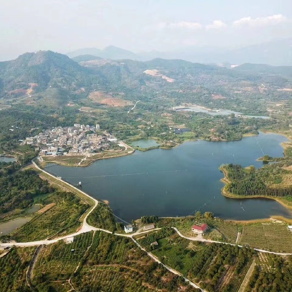 漳州自由叶农业种植基地全景俯瞰