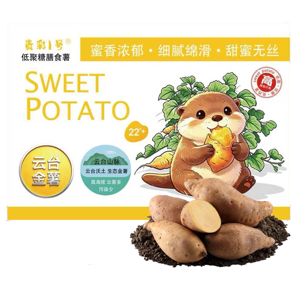 贵彩一号生地瓜